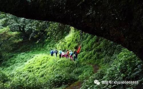 炸弹专家